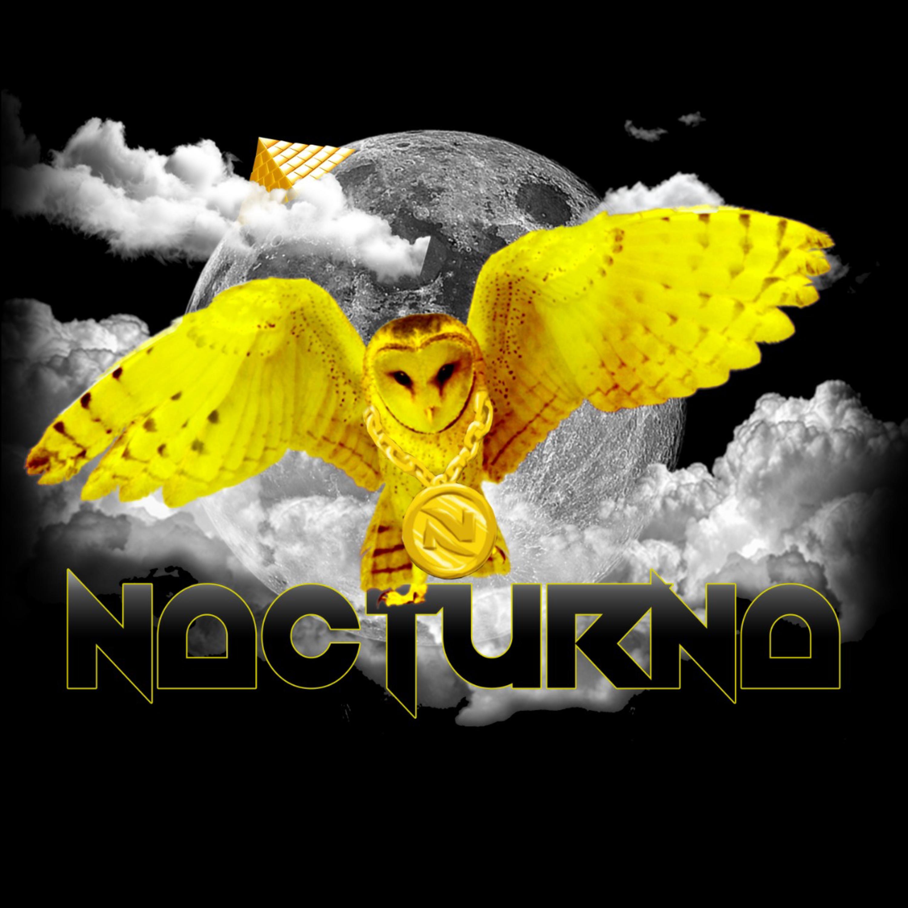 Nacturna Logo3